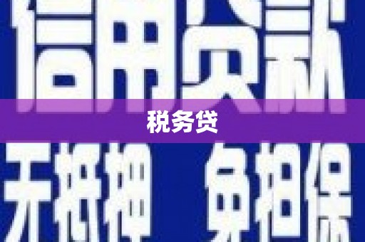 小港税务贷