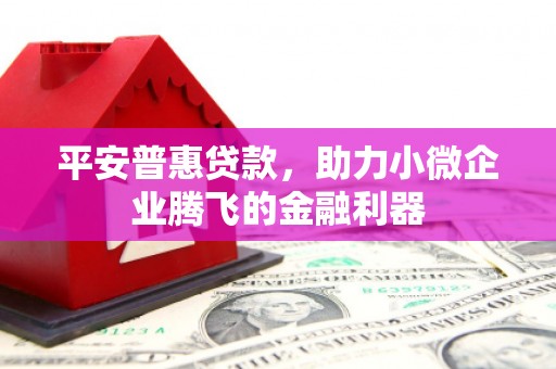 小港平安普惠贷款，助力小微企业腾飞的金融利器