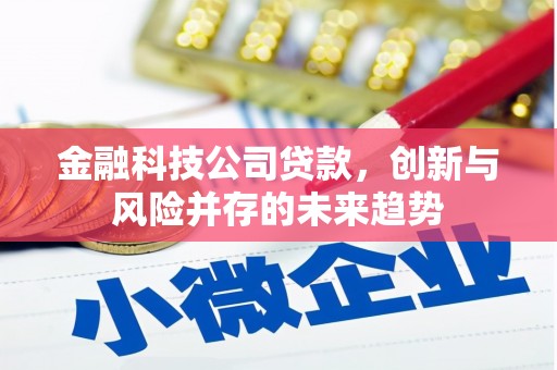 小港金融科技公司贷款，创新与风险并存的未来趋势