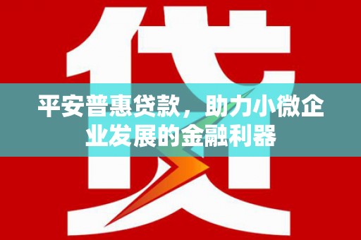 小港平安普惠贷款，助力小微企业发展的金融利器