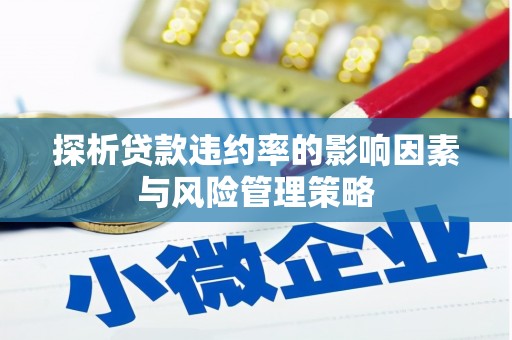小港探析贷款违约率的影响因素与风险管理策略