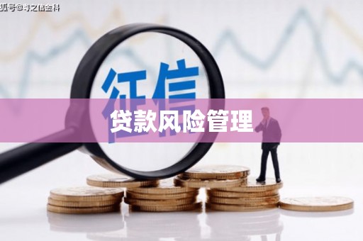 小港贷款风险管理