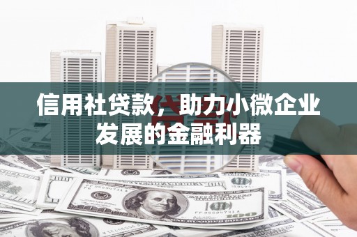 小港信用社贷款，助力小微企业发展的金融利器
