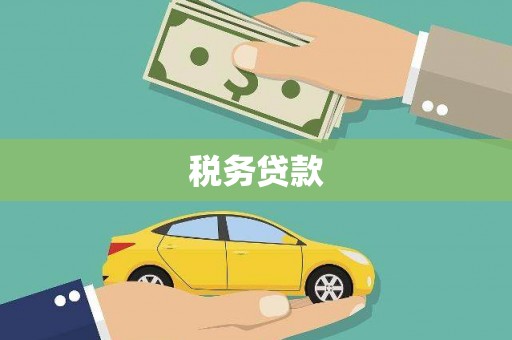 小港税务贷款