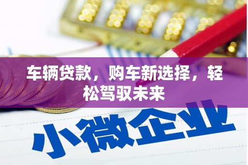 小港车辆贷款，购车新选择，轻松驾驭未来