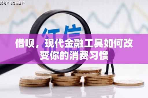 小港借呗，现代金融工具如何改变你的消费习惯