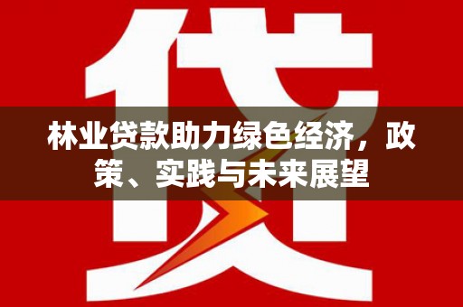 小港林业贷款助力绿色经济，政策、实践与未来展望