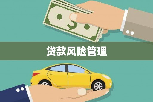 小港贷款风险管理