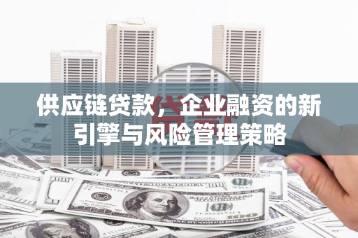 小港供应链贷款，企业融资的新引擎与风险管理策略
