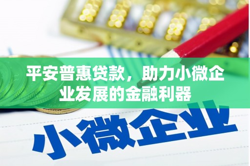 小港平安普惠贷款，助力小微企业发展的金融利器