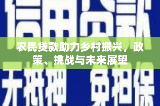 小港农民贷款助力乡村振兴，政策、挑战与未来展望