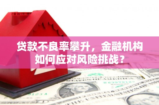 小港贷款不良率攀升，金融机构如何应对风险挑战？