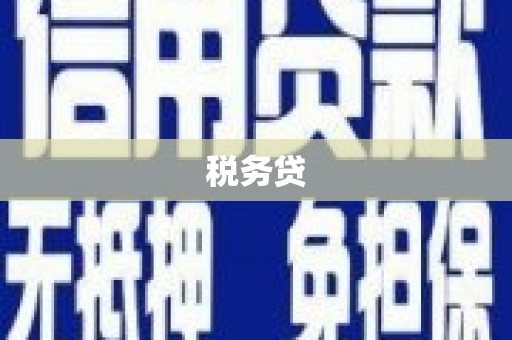 小港税务贷