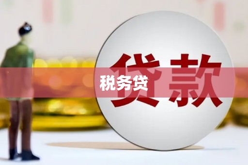 小港税务贷