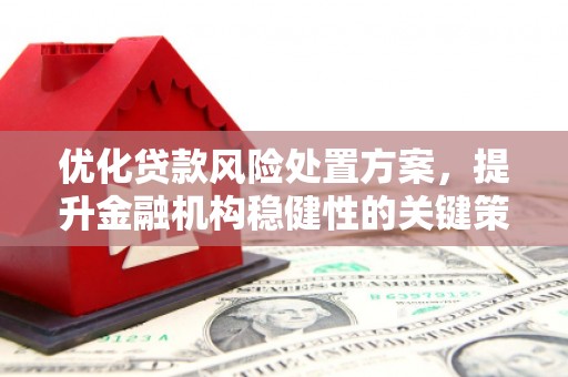 小港优化贷款风险处置方案，提升金融机构稳健性的关键策略