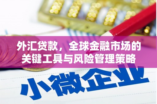 小港外汇贷款，全球金融市场的关键工具与风险管理策略