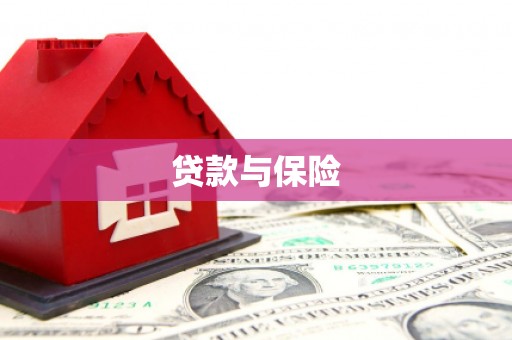 小港贷款与保险