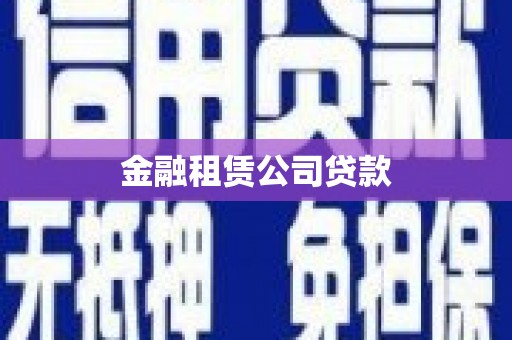 小港金融租赁公司贷款