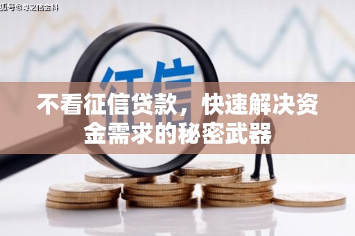 小港不看征信贷款，快速解决资金需求的秘密武器