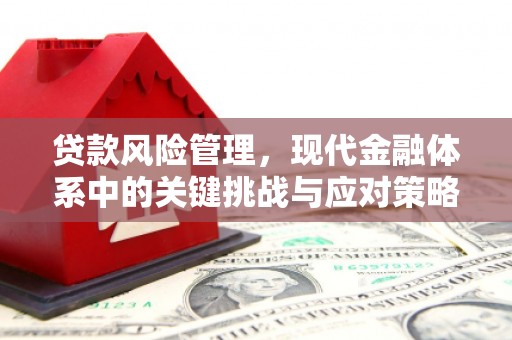 小港贷款风险管理，现代金融体系中的关键挑战与应对策略
