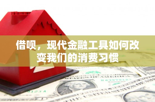 小港借呗，现代金融工具如何改变我们的消费习惯