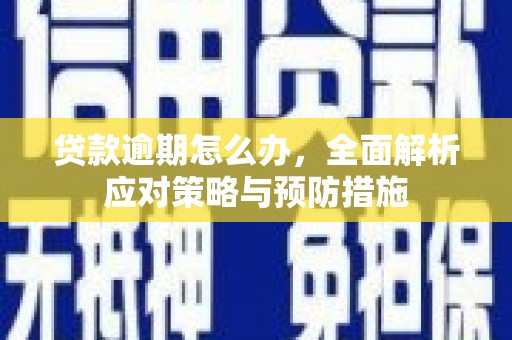 小港贷款逾期怎么办，全面解析应对策略与预防措施