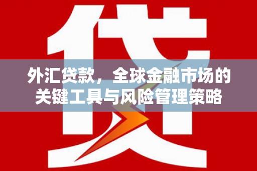 小港外汇贷款，全球金融市场的关键工具与风险管理策略