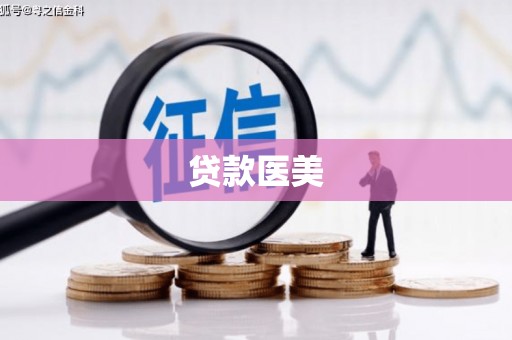 小港贷款医美