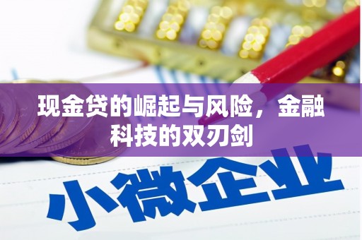 小港现金贷的崛起与风险，金融科技的双刃剑