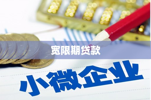 小港宽限期贷款