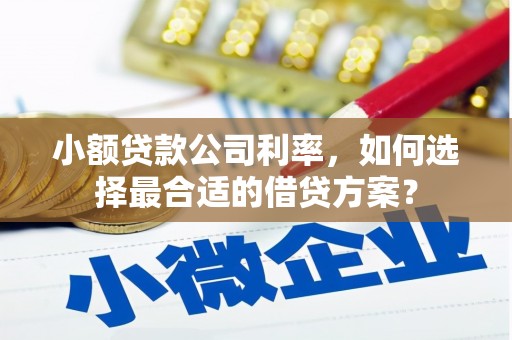 小港小额贷款公司利率，如何选择最合适的借贷方案？