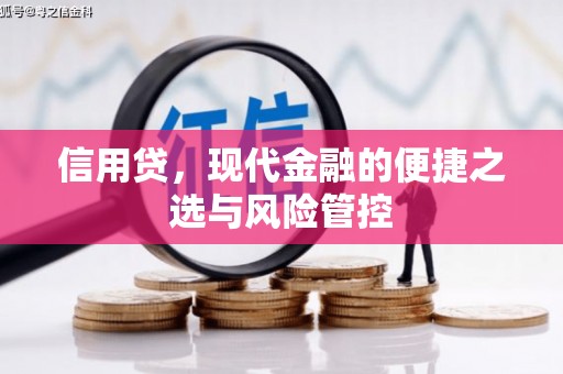 小港信用贷，现代金融的便捷之选与风险管控