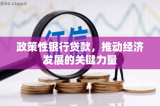 小港政策性银行贷款，推动经济发展的关键力量