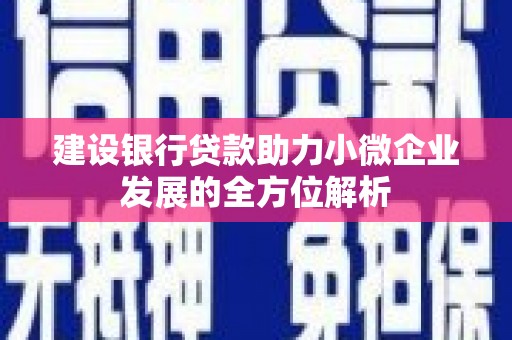 小港建设银行贷款助力小微企业发展的全方位解析