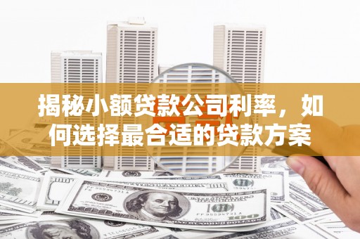 小港揭秘小额贷款公司利率，如何选择最合适的贷款方案