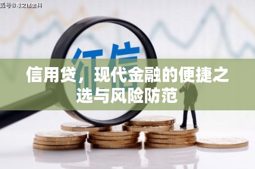 小港信用贷，现代金融的便捷之选与风险防范