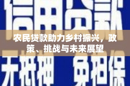 小港农民贷款助力乡村振兴，政策、挑战与未来展望