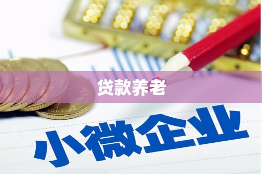 小港贷款养老