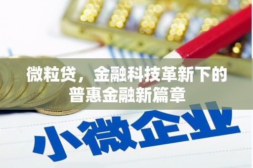 小港微粒贷，金融科技革新下的普惠金融新篇章