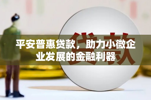 小港平安普惠贷款，助力小微企业发展的金融利器