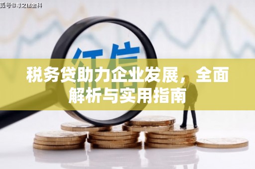 小港税务贷助力企业发展，全面解析与实用指南