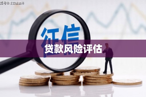 小港贷款风险评估