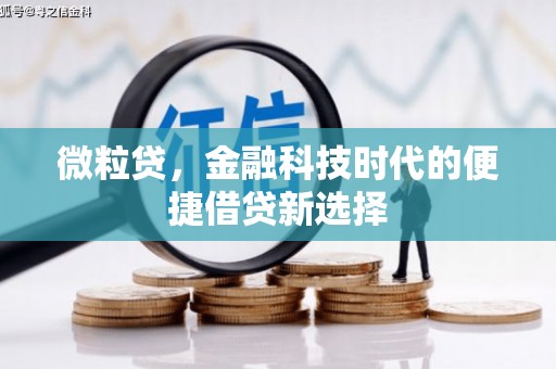 小港微粒贷，金融科技时代的便捷借贷新选择