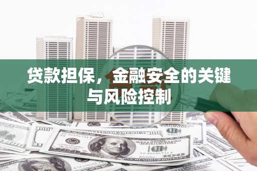 小港贷款担保，金融安全的关键与风险控制