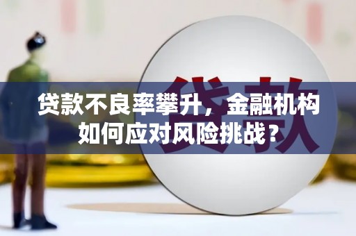 小港贷款不良率攀升，金融机构如何应对风险挑战？