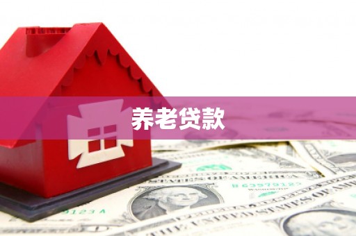 小港养老贷款