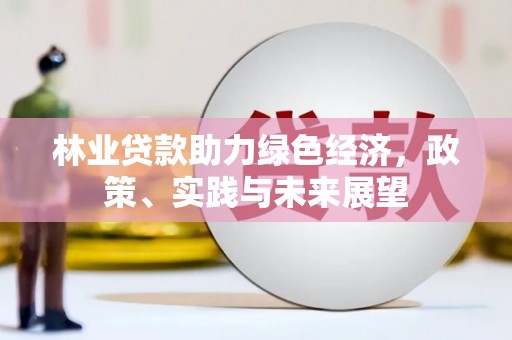 小港林业贷款助力绿色经济，政策、实践与未来展望