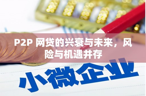 小港P2P 网贷的兴衰与未来，风险与机遇并存