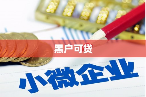 小港黑户可贷