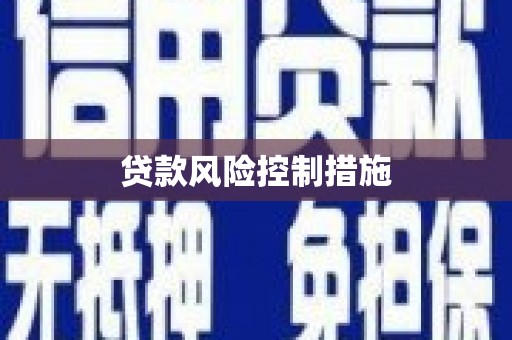 小港贷款风险控制措施